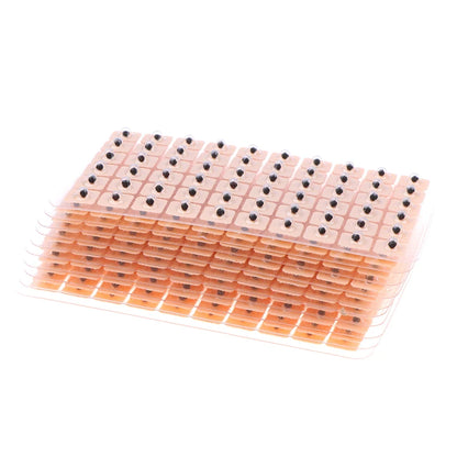 Hot 600Pcs Disposable Press Needle Ear Seeds Acupuncture Vaccaria Plaster Bean Massagee Multi-Condition Ear Seed Acupressure Kit